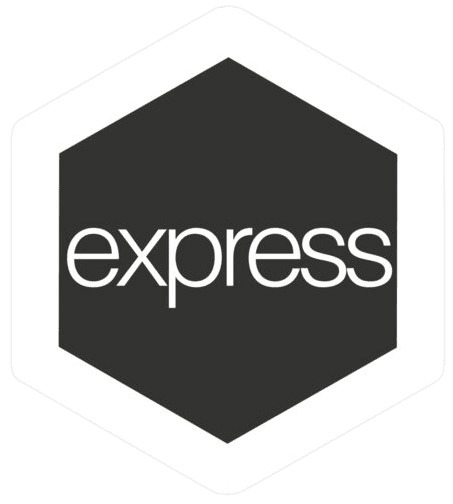 Express js icon